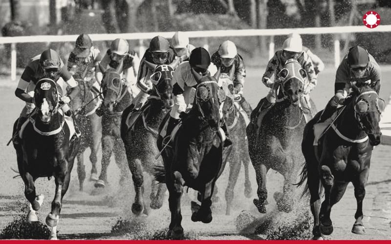 Racehorses on the gallop, horse racing betting sites